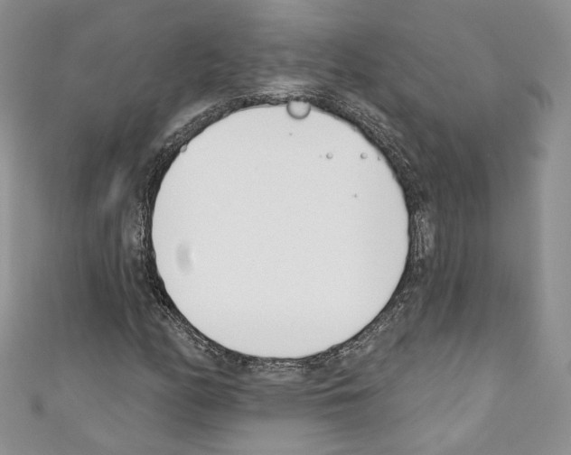X0000110741158200907271055