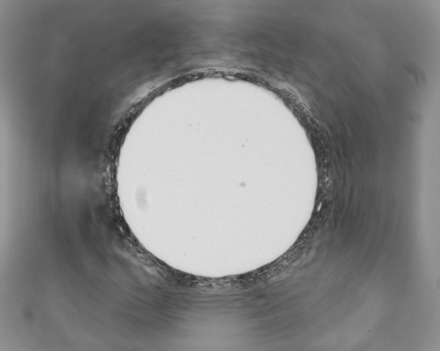 X0000110741159200907271055