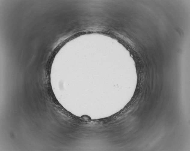 X0000110741160200907271055