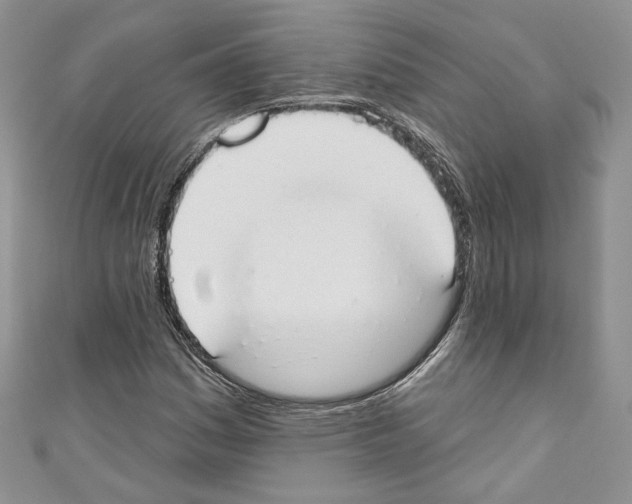 X0000110741161200907271055