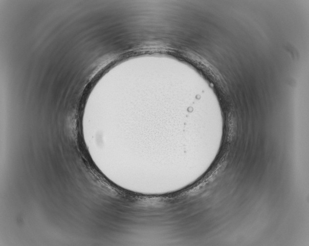 X0000110741162200907271055