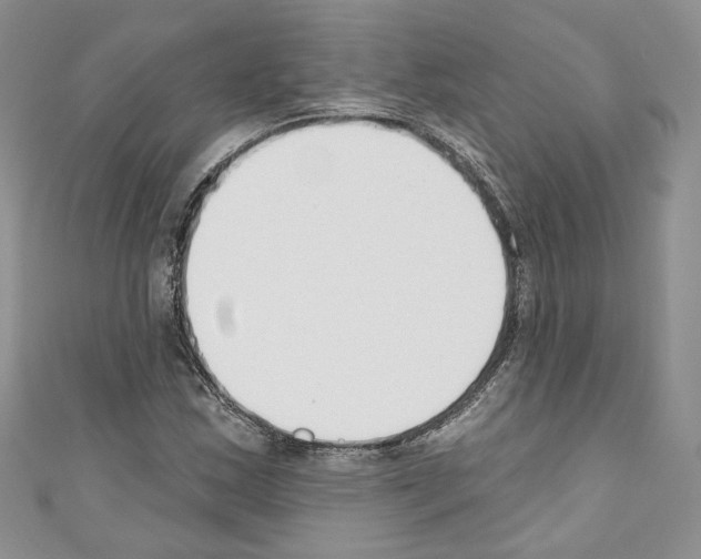 X0000110741163200907271055
