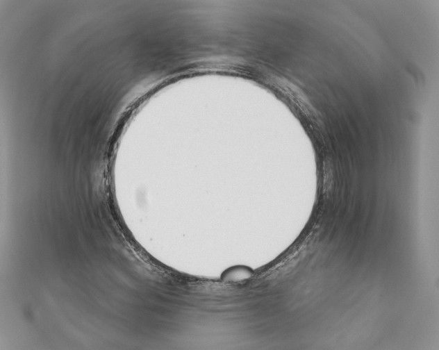 X0000110741164200907271055
