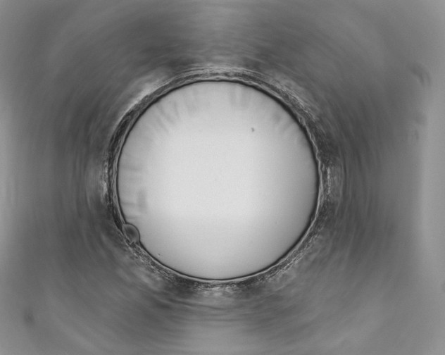 X0000110741165200907271055