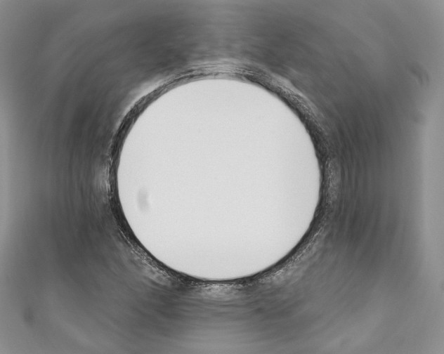 X0000110741166200907271055