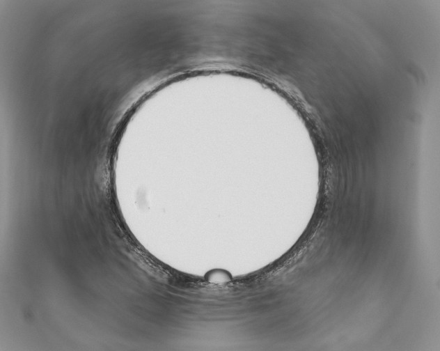 X0000110741167200907271055
