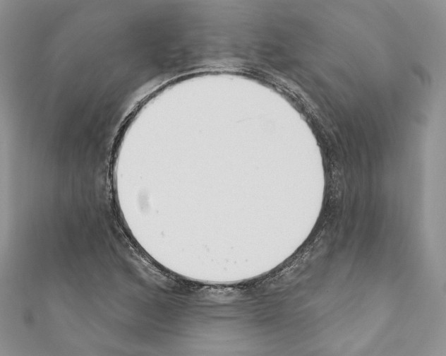 X0000110741168200907271055