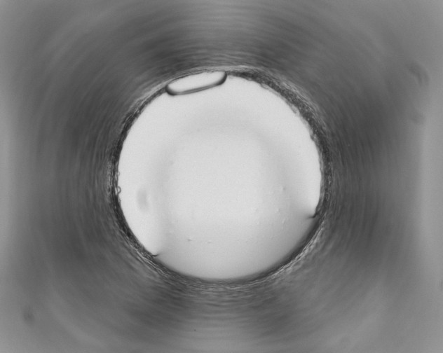 X0000110741169200907271055
