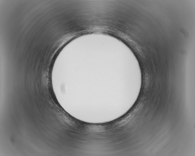 X0000110741170200907271055