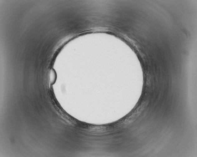 X0000110741171200907271055