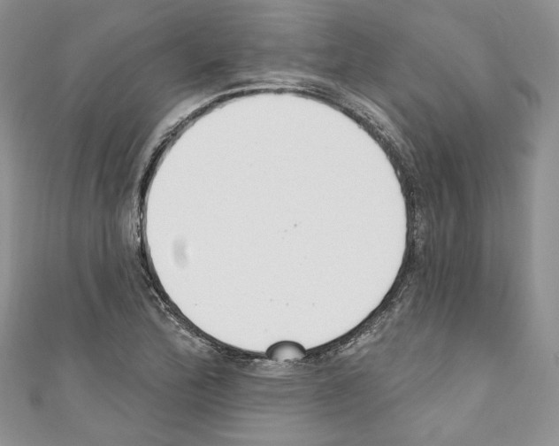 X0000110741172200907271055