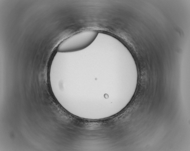 X0000110741173200907271055