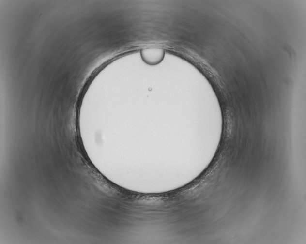 X0000110741174200907271055