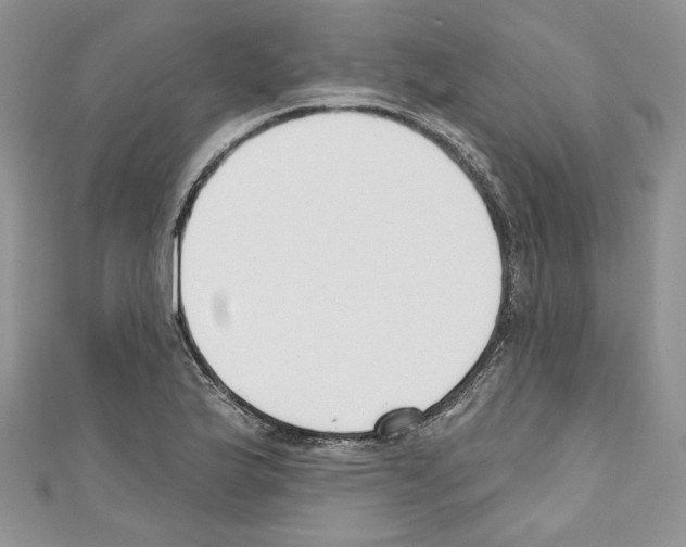 X0000110741175200907271055