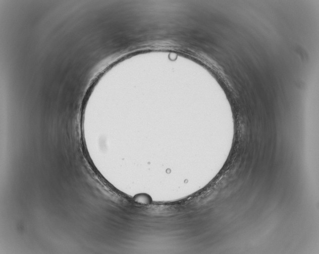 X0000110741176200907271055