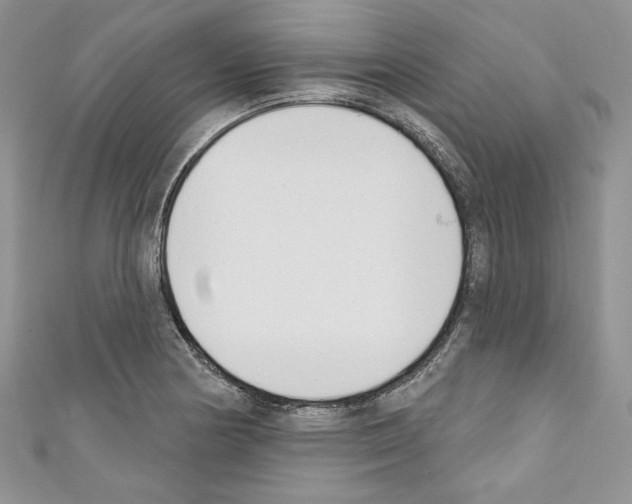 X0000110741178200907271055