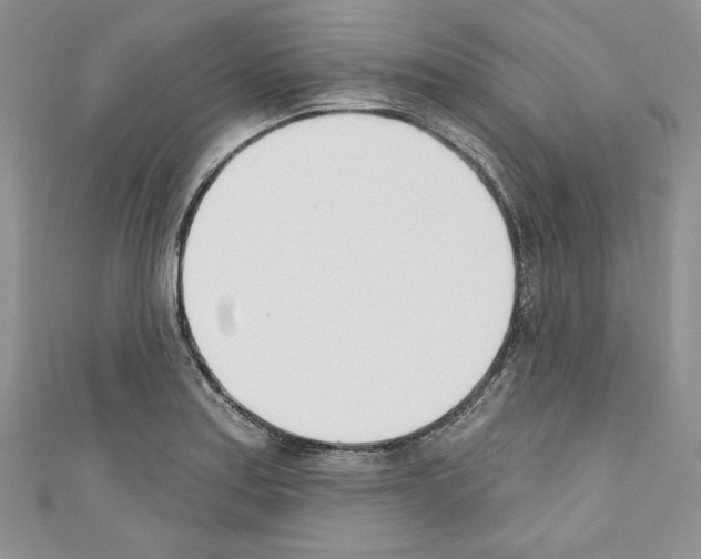 X0000110741179200907271055
