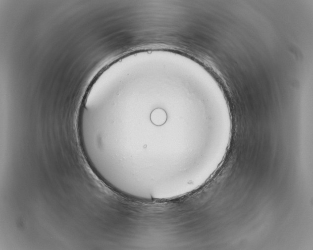 X0000110741181200907271055