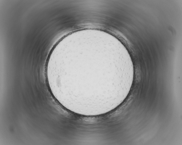 X0000110741182200907271055