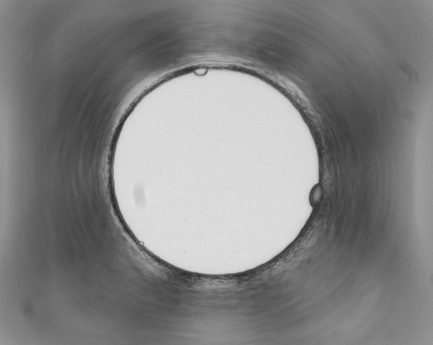 X0000110741183200907271055