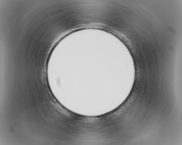 X0000110741184200907271055