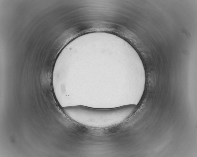 X0000110741185200907271055