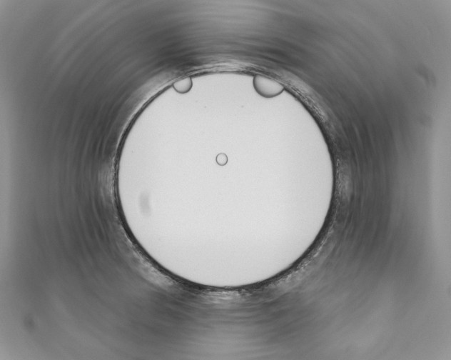 X0000110741186200907271055