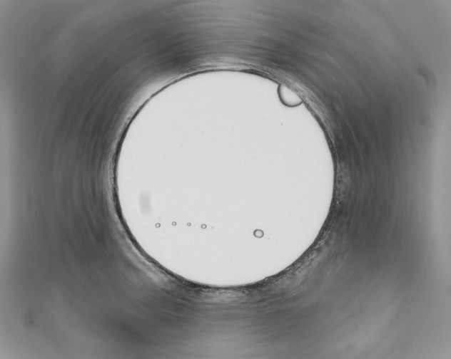 X0000110741187200907271055