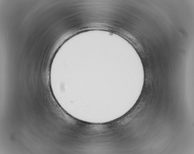 X0000110741188200907271055