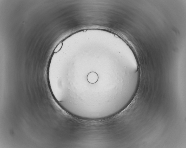 X0000110741189200907271055