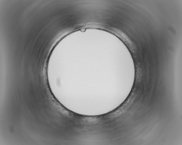 X0000110741190200907271055