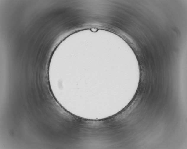 X0000110741192200907271055