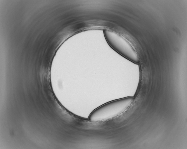 X0000110741193200907271055