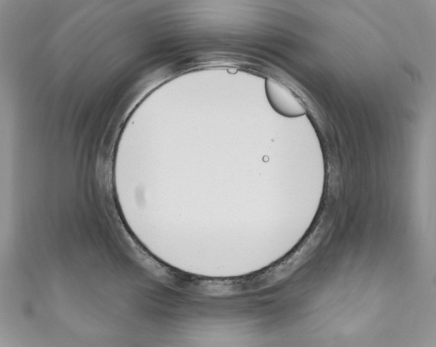 X0000110741194200907271055