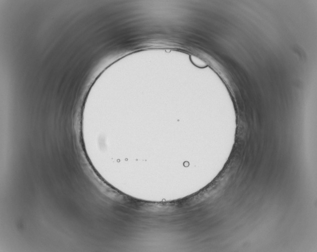 X0000110741195200907271055