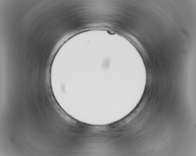 X0000110741196200907271055