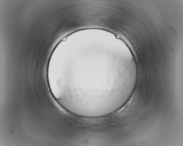 X0000110741197200907271055