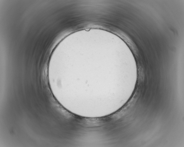 X0000110741198200907271055