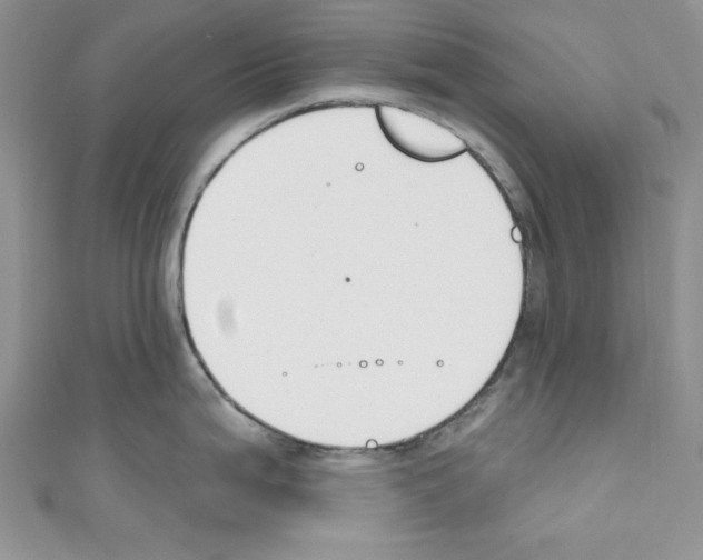 X0000110741199200907271055