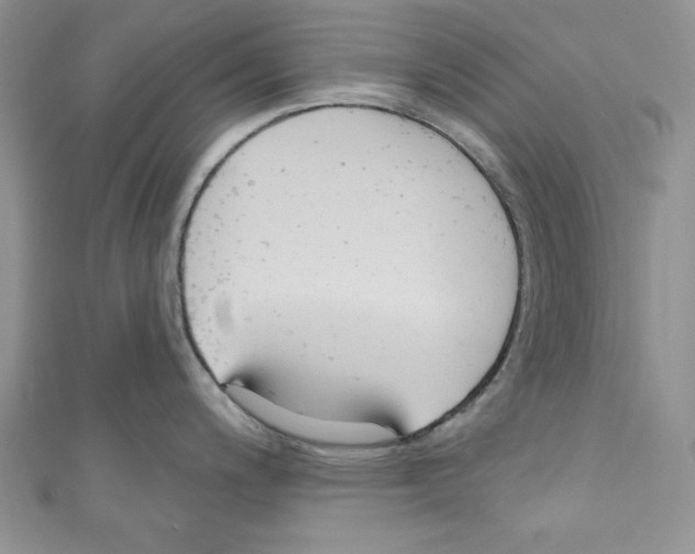 X0000110741200200907271055