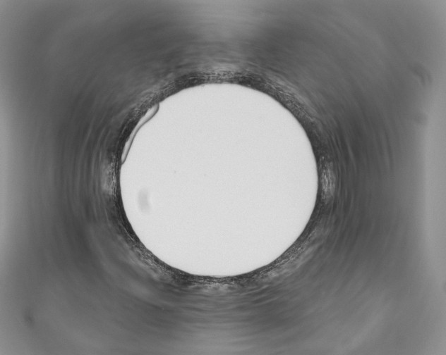 X0000110741204200907271054