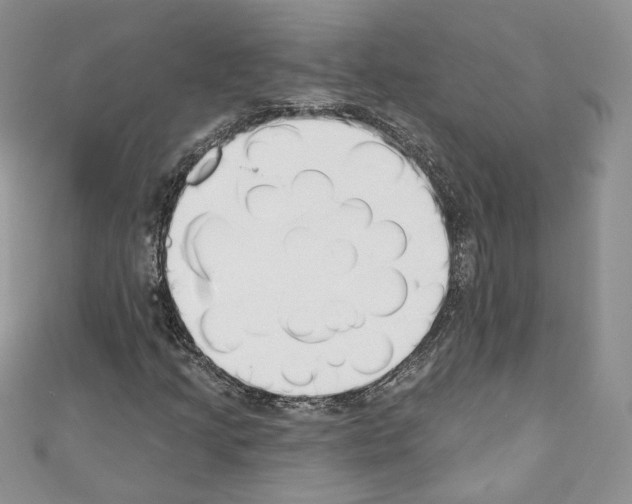 X0000110741205200907271054