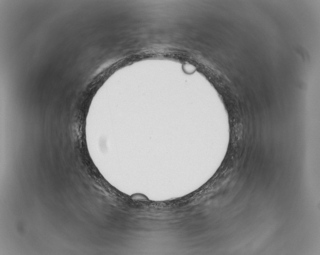 X0000110741206200907271054