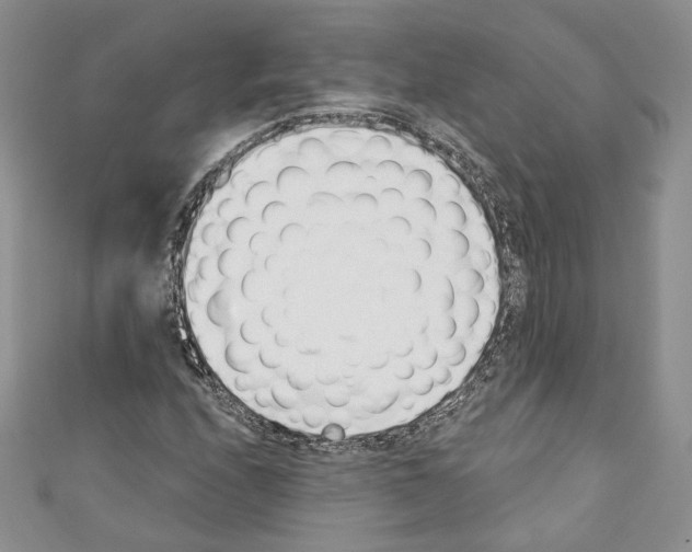 X0000110741208200907271054