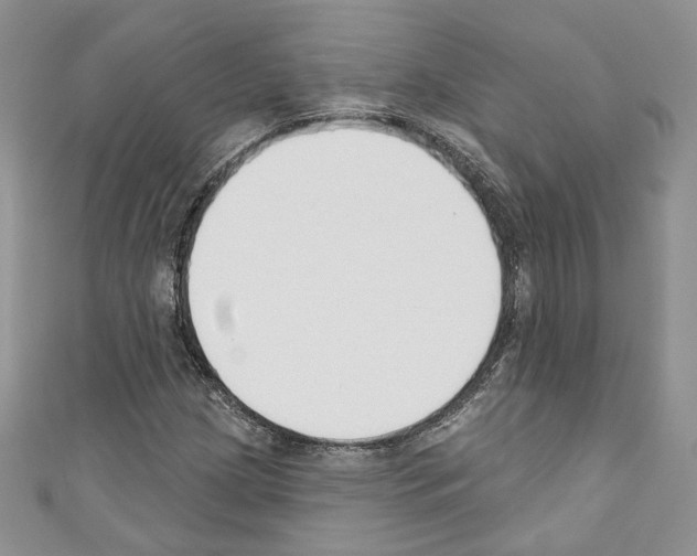 X0000110741209200907271054