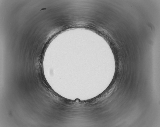 X0000110741210200907271054