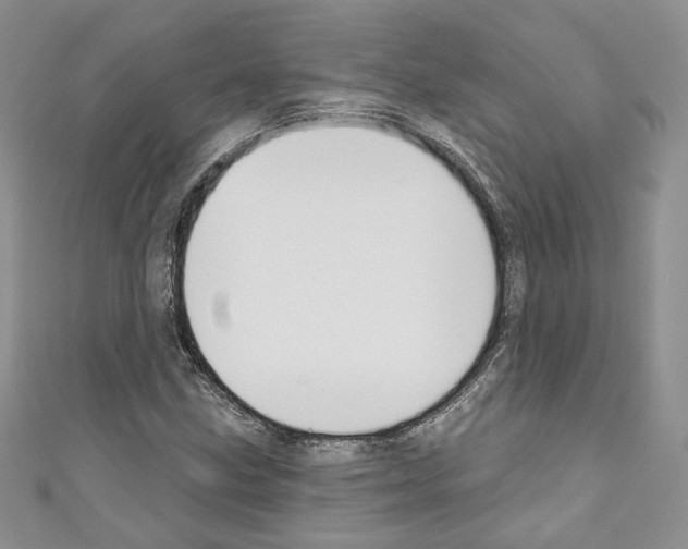 X0000110741211200907271054