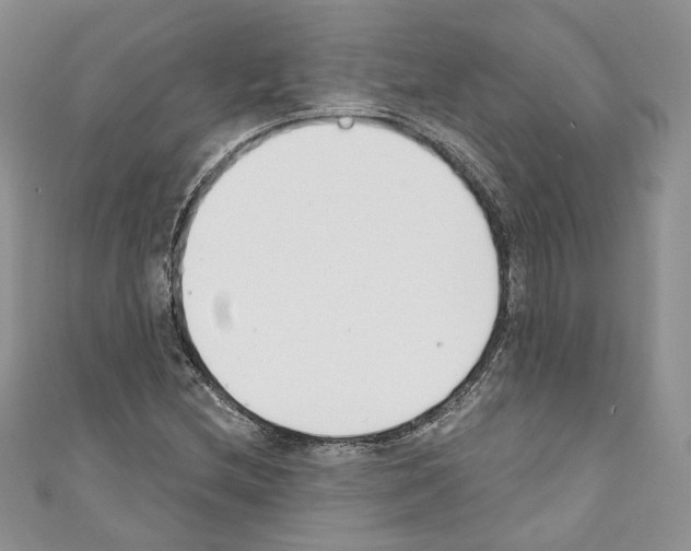 X0000110741212200907271054