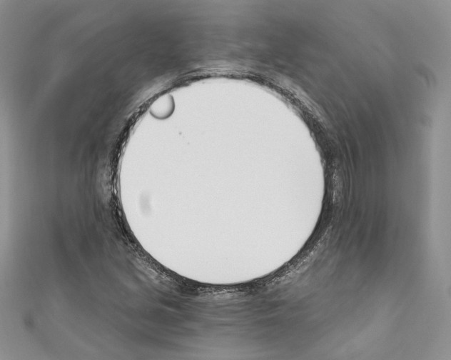 X0000110741213200907271054