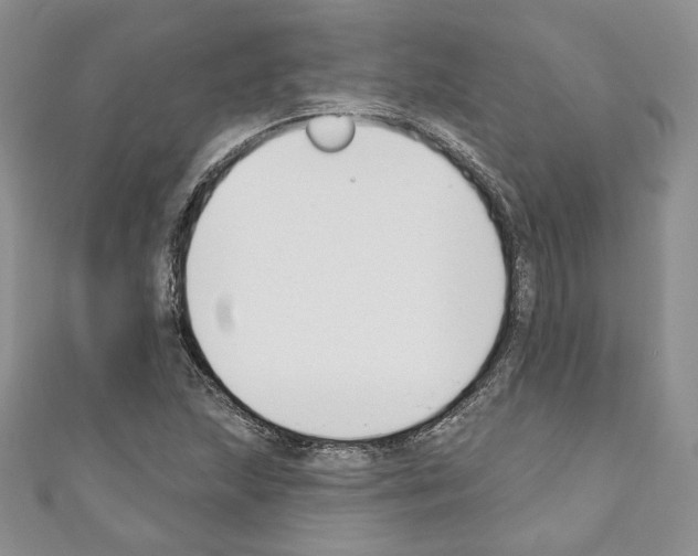 X0000110741215200907271054